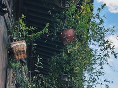 -紫阳古街