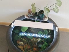 -悦享采耳·洗头头疗·推拿SPA(海沧万科旗舰店)