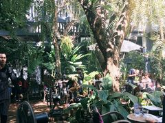 -Fern Forest Cafe