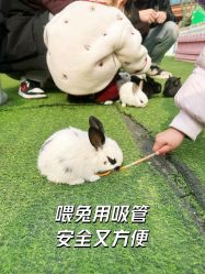 -萌宠亲子动物乐园(槐房万达店)