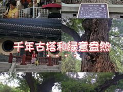 -晋祠公园