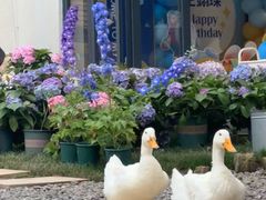 -HERRE·FARM 赫尔露营农场·团建聚会包场