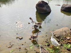 -厦门悦华酒店
