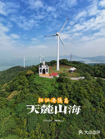 满山遍野都是风车：天麓山海