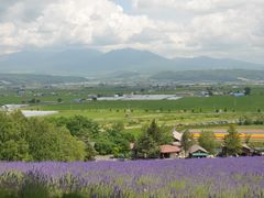 -富田农场