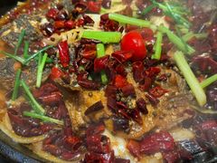 -老板恋上鱼(恒隆广场店)