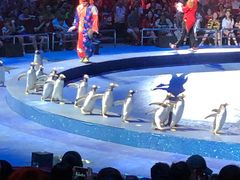 -珠海横琴长隆《卡卡虎奇遇记》