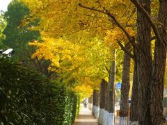 -上海交通大学(闵行校区)