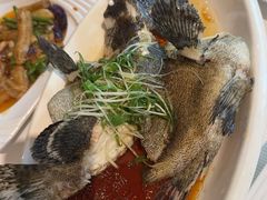 -强记海鲜·大排档(蛇口新街店)