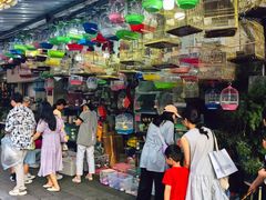 -溪岸路花鸟市场