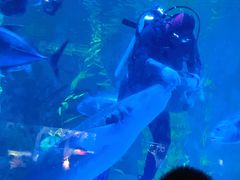 -常州海昌海洋探索馆