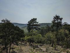-南京市无想山景区