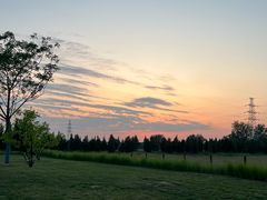 -汉长安城未央宫国家考古遗址公园