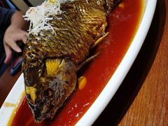 罾蹦鲤鱼-津菜宋记老房子(鼓楼店)
