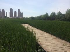 -前关湿地公园