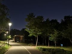 -马家湾湿地公园
