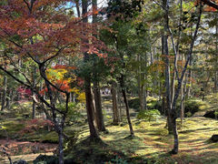 -西芳寺(苔寺)