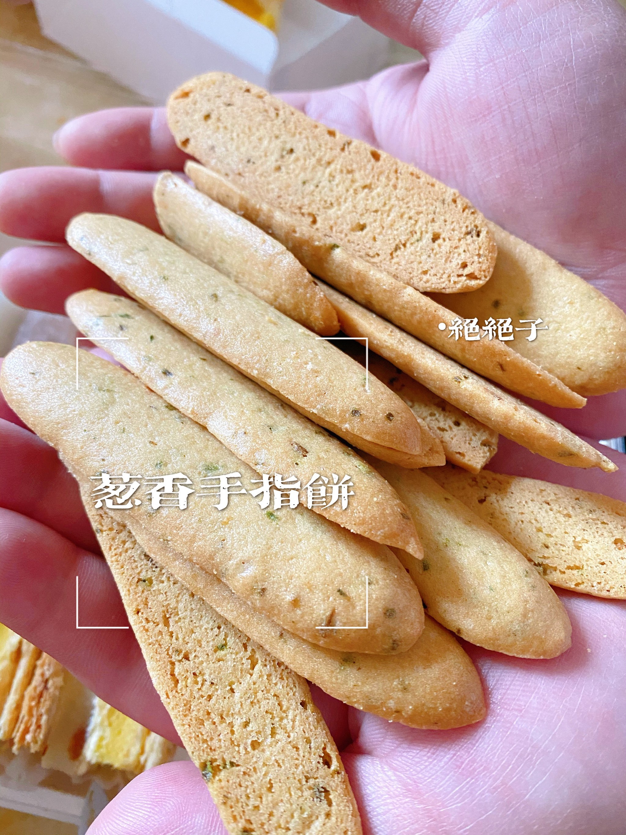 报告‼️火遍北上广的?虎头局上新啦