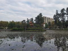 -四川大学(望江校区)