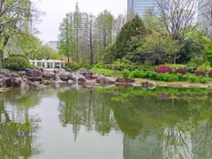 -新虹桥中心花园