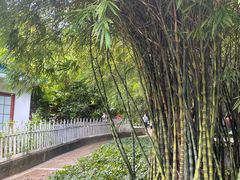 -晓港公园