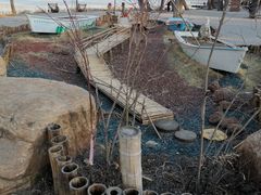 -长春市南湖公园