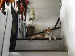 -艾泽瑞斯图文快印打印复印证件照设计名片画册(艾泽瑞斯打印复印洗照片店)