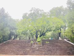-千佛山风景名胜区