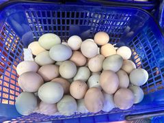 -峡谷农家乐饭店
