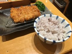 -胜博殿日式炸猪排(西红门店)