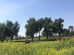 -长白岛森林公园