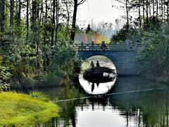 -溱湖国家湿地公园