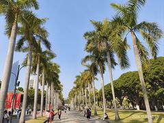 -厦门大学(思明校区)