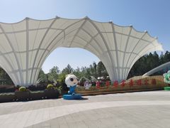 -东平国家森林公园