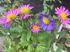 -三大钵江湖菜(空港店)