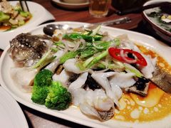 葱油淋鲈鱼-和平馆·地道港澳茶餐厅(西门口店)