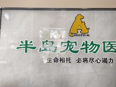 -半岛宠物医院24小时(科华中路店)