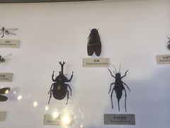 -中国湿地博物馆