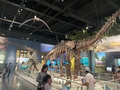 -国家自然博物馆