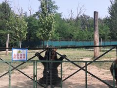 -秦皇岛野生动物园