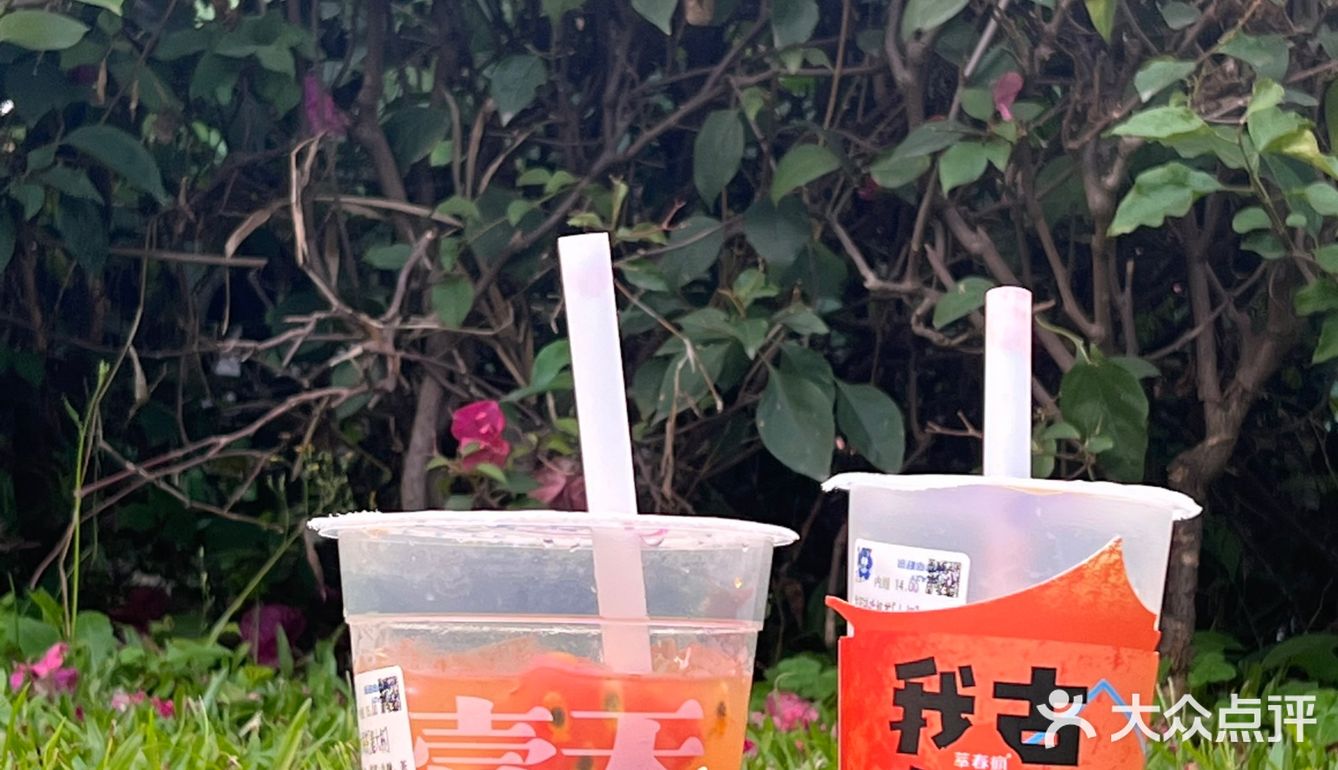 打卡古城奶茶｜萃春疯