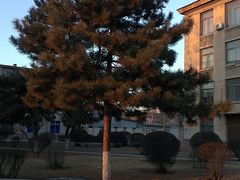 -辽宁大学(崇山校区)