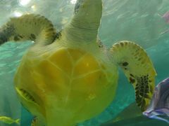 -苏州海洋馆