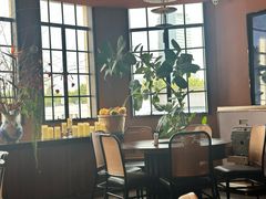 -滇野云南野生菌餐厅(陕西南路店)