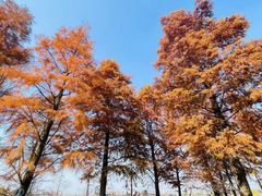 -南通濠河风景名胜区