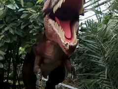 -北京呀路古热带植物园