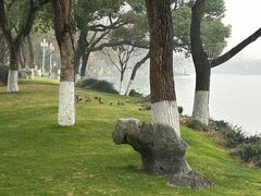 -浙江西子宾馆·瑶园咖啡厅