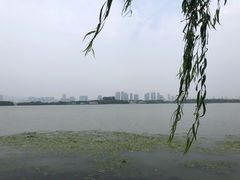 -苏州太湖国家湿地公园