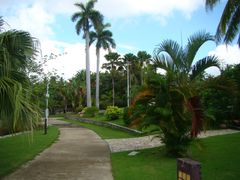 -三亚珠江南田温泉度假区