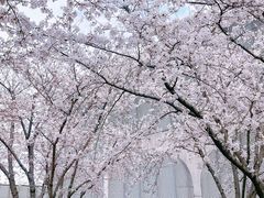 -龙美术馆(西岸馆)